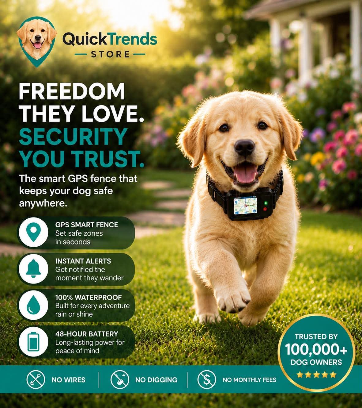 Dog wearing a GPS collar with promotional  QuickTrends Store's smart GPS fence.