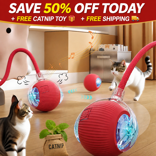 QuickTrends™ WiggleTail™ Interactive Rolling Pet Toy