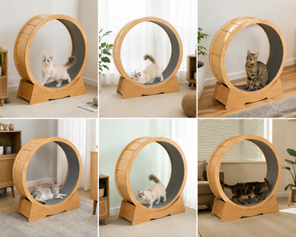 QuickTrends WhisperRun™ Wooden Frame Multi Layer Board Silent Climbing Toy Indoor Pet Exercise Furniture Cat Running Wheel Treadmill