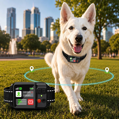 Dog wearing a smart collar with a cityscape background