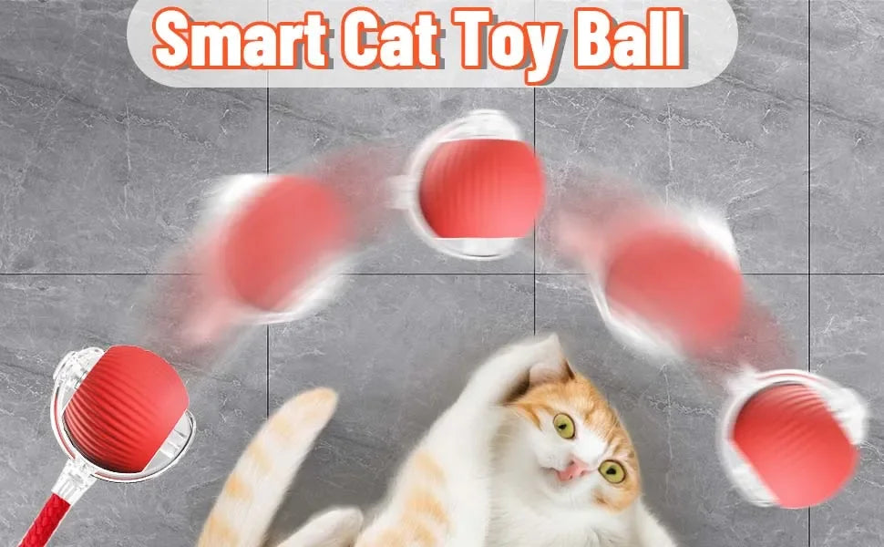 QuickTrends™ WiggleTail™ Interactive Rolling Pet Toy