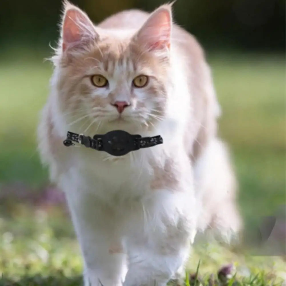 MeowGuard™ GPS Collar Create a safe GPS boundary anywhere — no wires, no digging, no monthly fees
